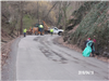 Workers and Volunteers Cleaning up Road