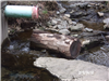 Pipe in Ditch