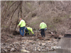 Three Men Clearing Branches