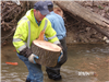 Man Carrying Section of Tree Stump