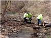 Three Men Sawing Tree in Stream