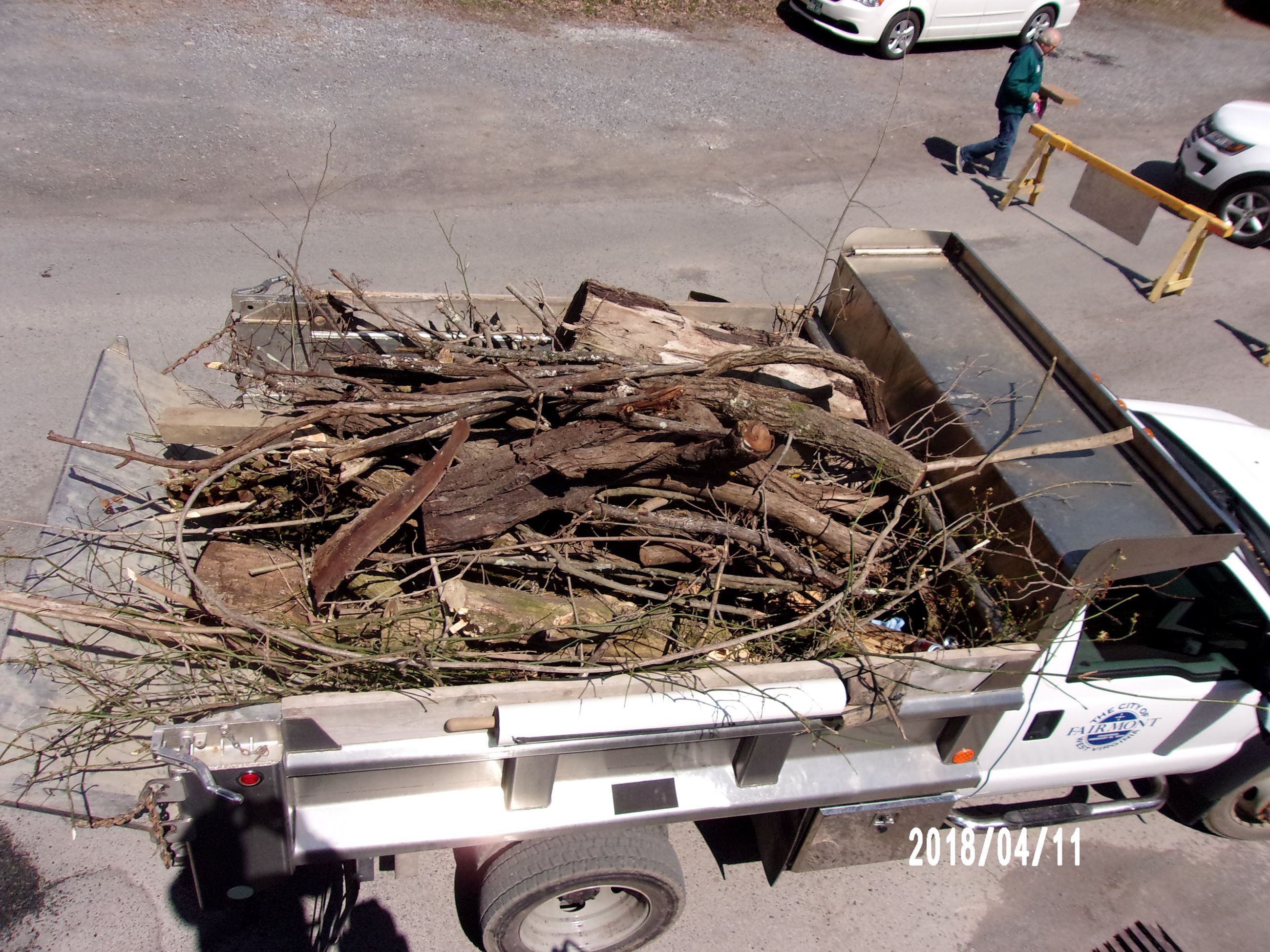 Branches in the Back of a Truck