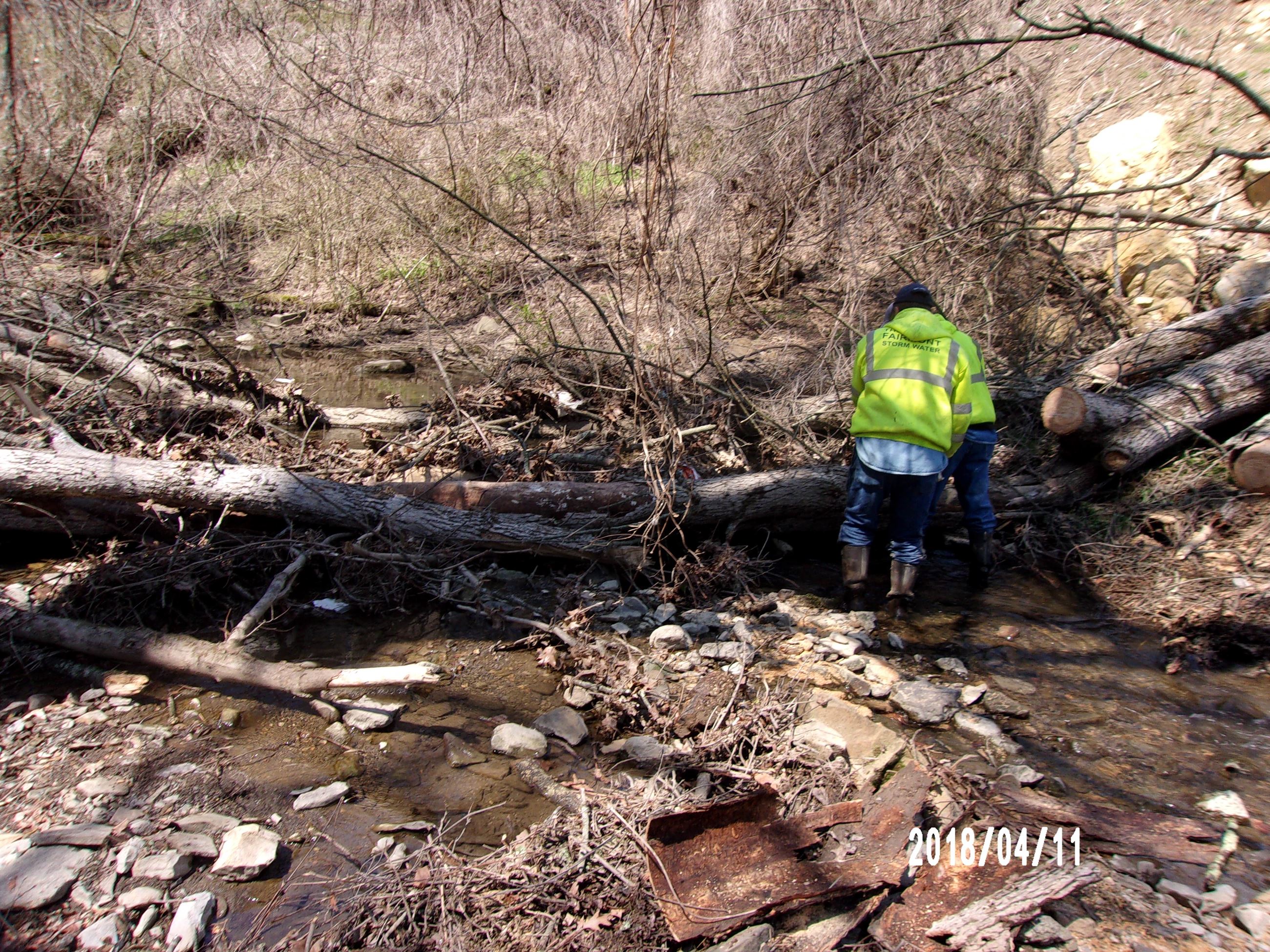 Worker by Large Limb