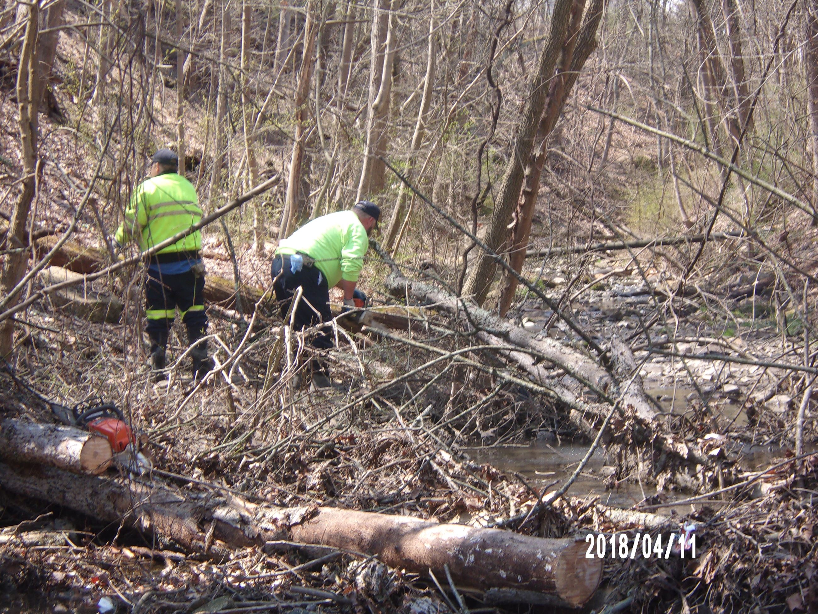 Two Workers Clearing Limbs