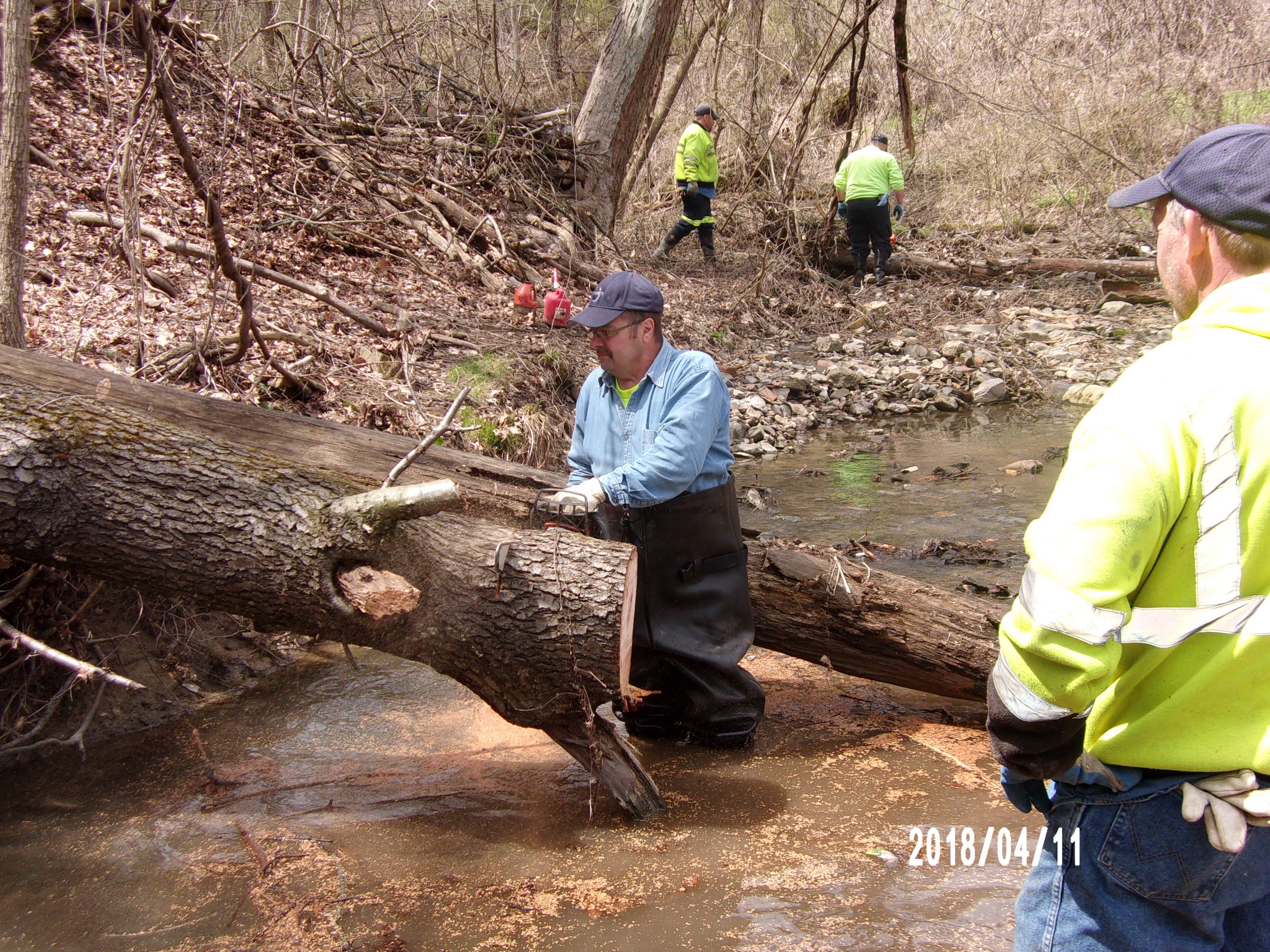 Man Sawing Tree