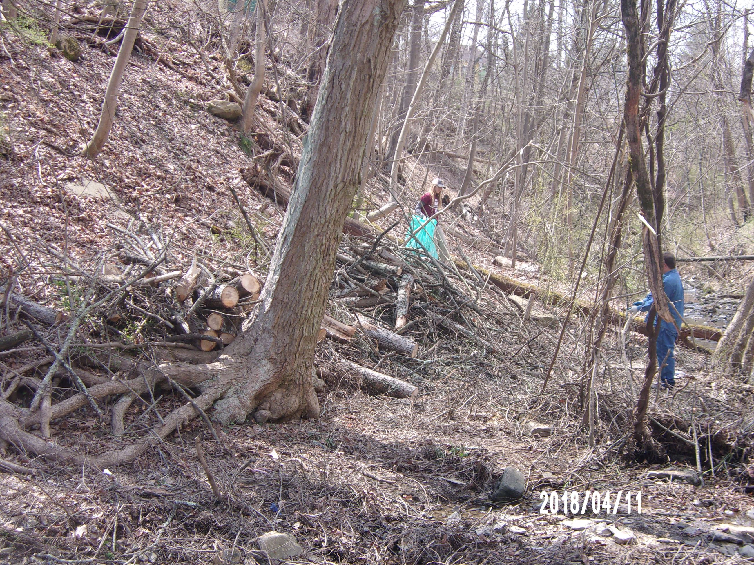 Two People Gathering Brush