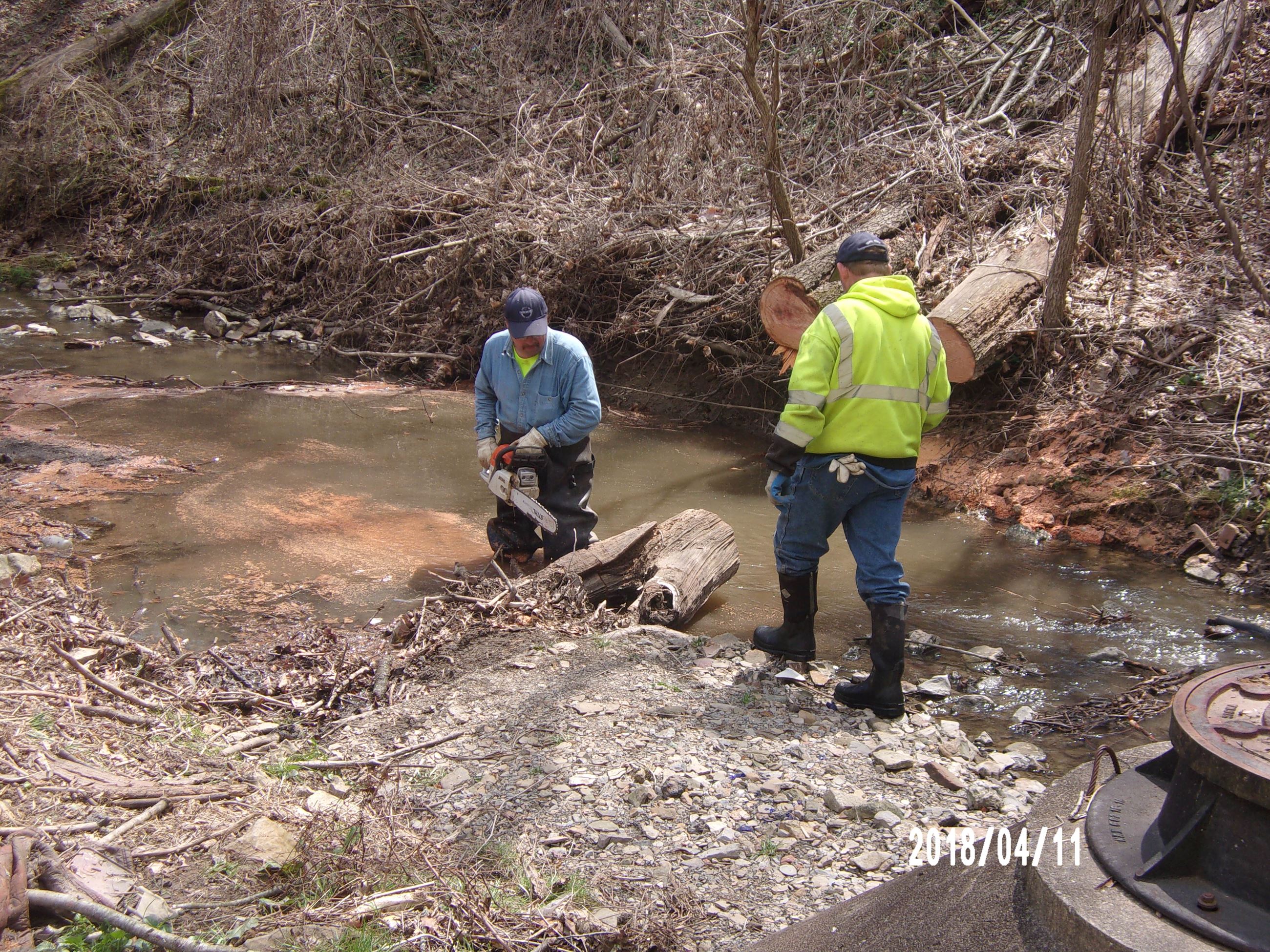 Man Sawing Tree in Stream