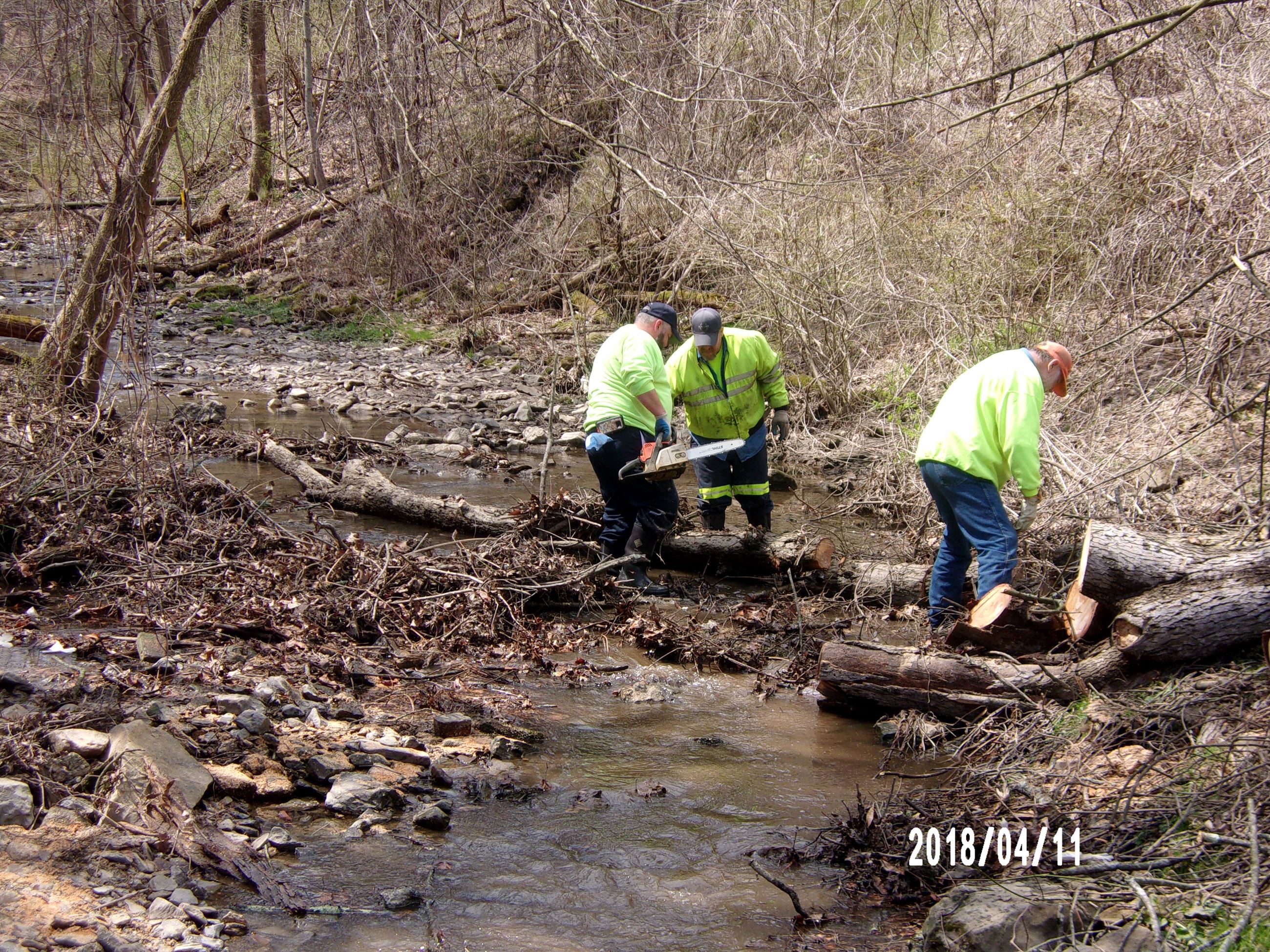Three Men Sawing Tree in Stream