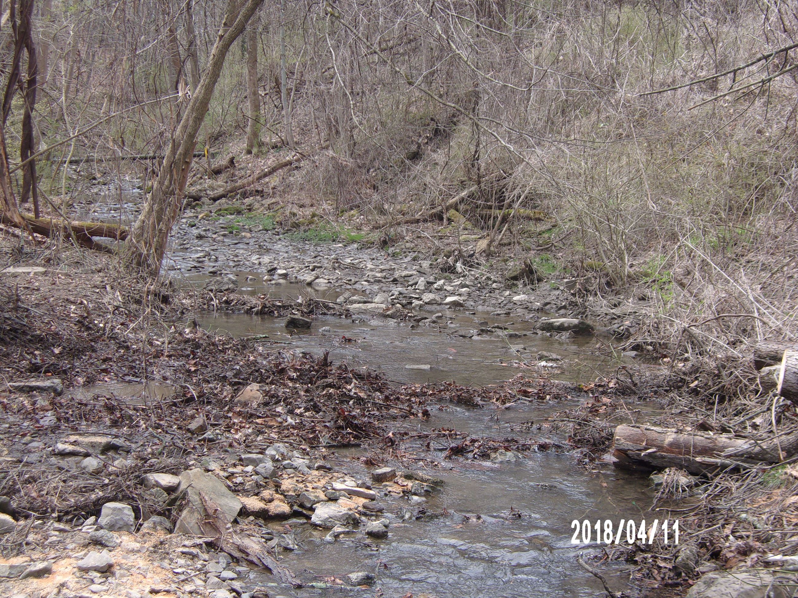 Water Flowing in Stream