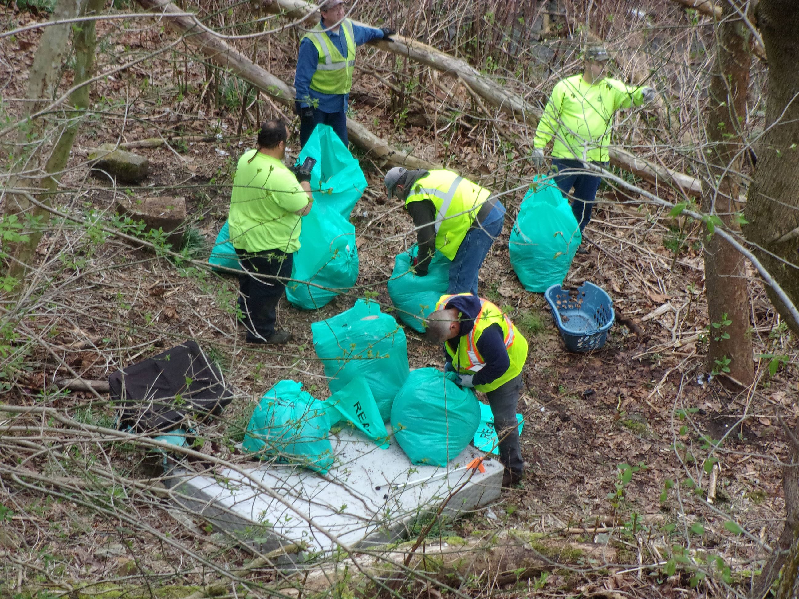 Volunteers collecting garbage in a wooded area.