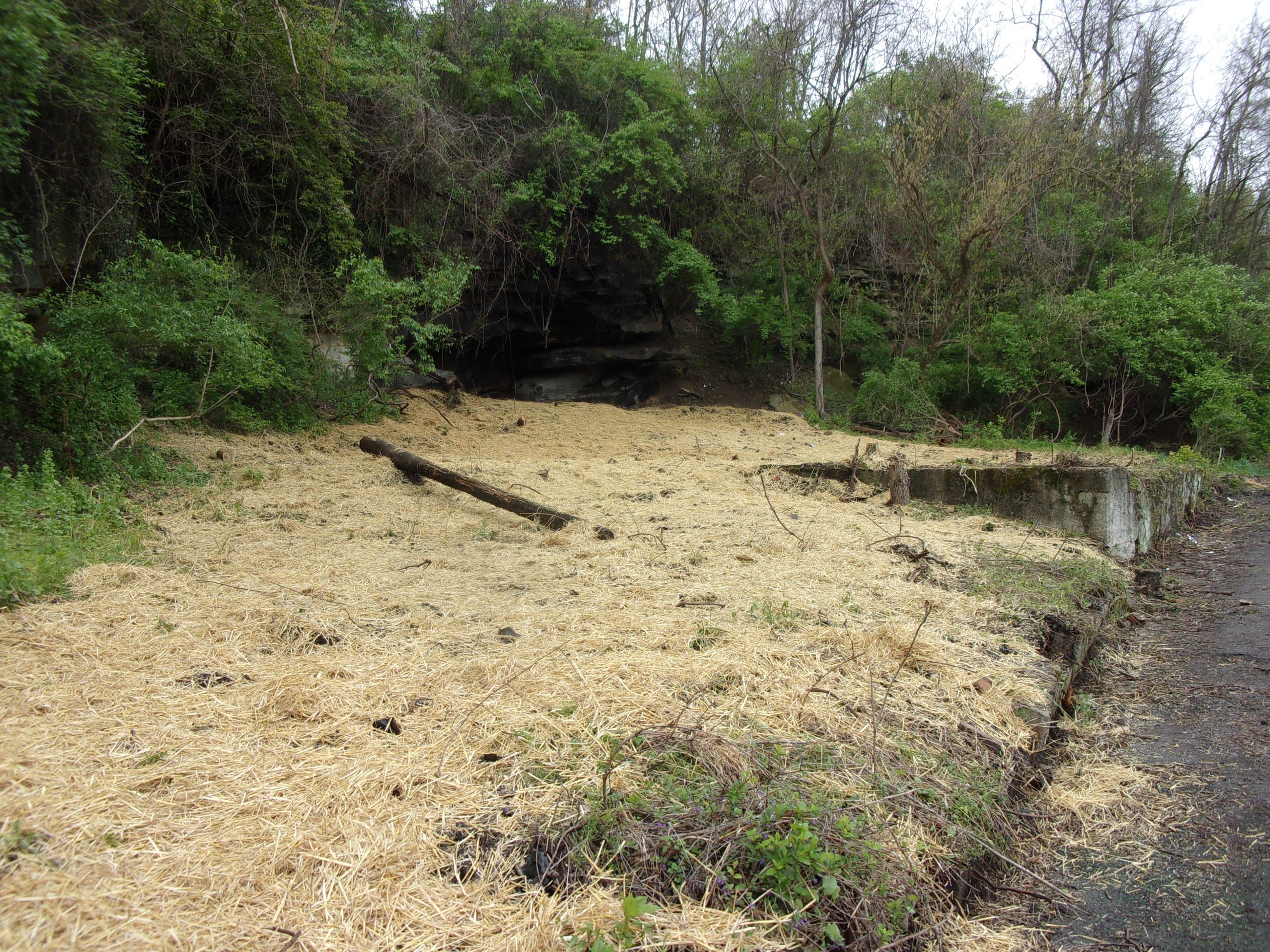 Washington Street clean after volunteers cleaned the area.